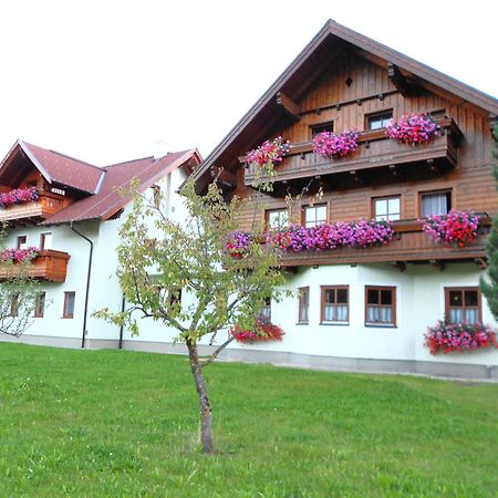 Pension Thorerhof Haus im Ennstal Εξωτερικό φωτογραφία