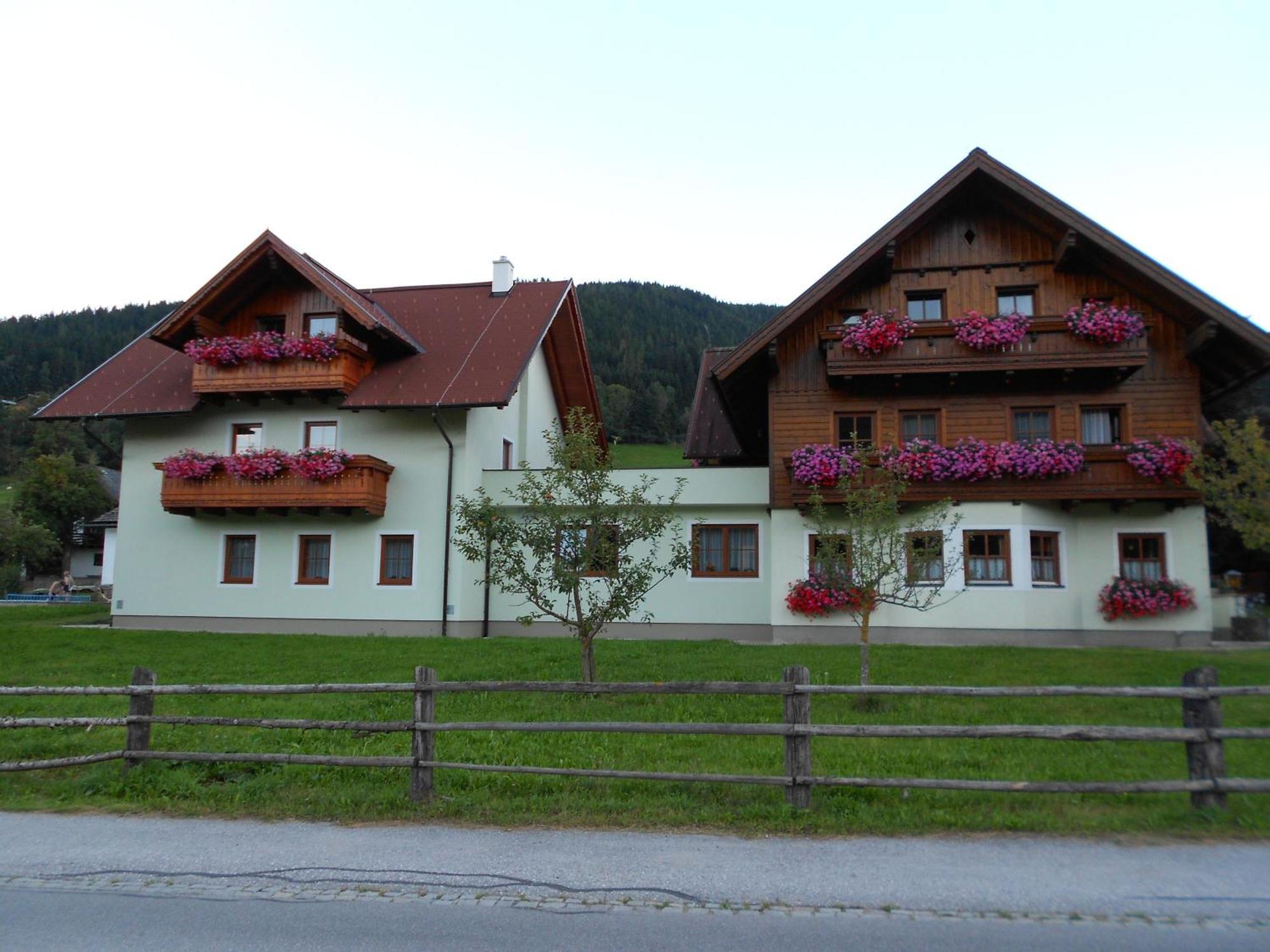 Pension Thorerhof Haus im Ennstal Εξωτερικό φωτογραφία