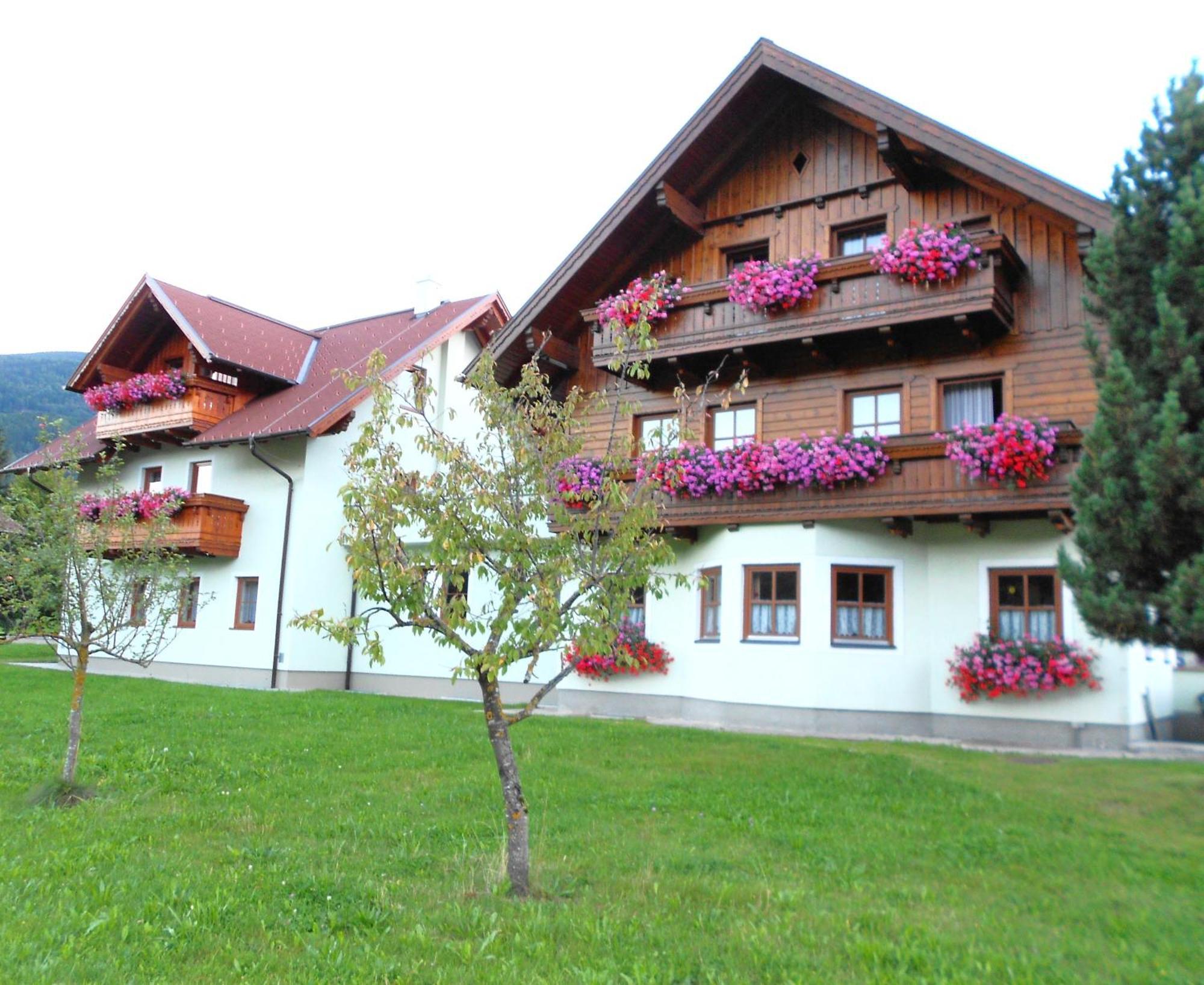 Pension Thorerhof Haus im Ennstal Εξωτερικό φωτογραφία